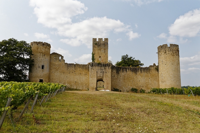 Balade avec Monique (La Brède Budos Villandraut)-049